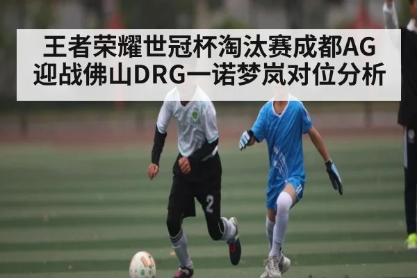 王者荣耀世冠杯淘汰赛成都AG迎战佛山DRG一诺梦岚对位分析